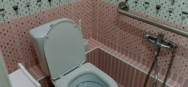 Meeting Diverse Needs With Accessible Restroom Solutions in Richmond, VA